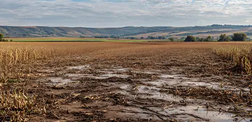 Garanties specifiques adaptees aux risques agricoles